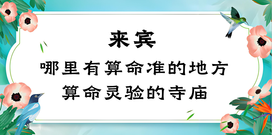 来宾市哪里有算命准的一条街（来宾算卦算命哪里最灵验）