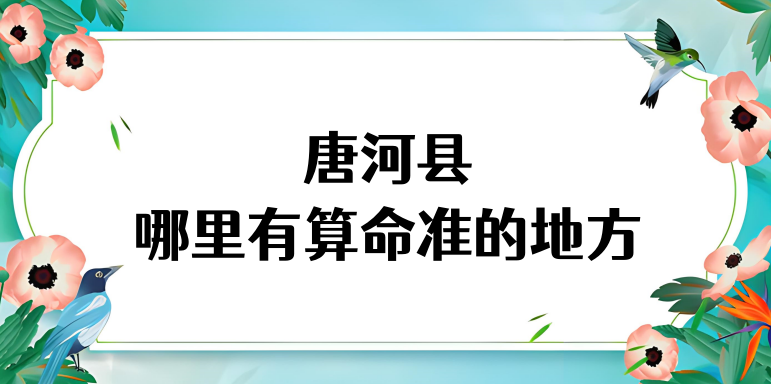 南阳唐河县哪里算命最准，唐河哪里有算命灵验的地方