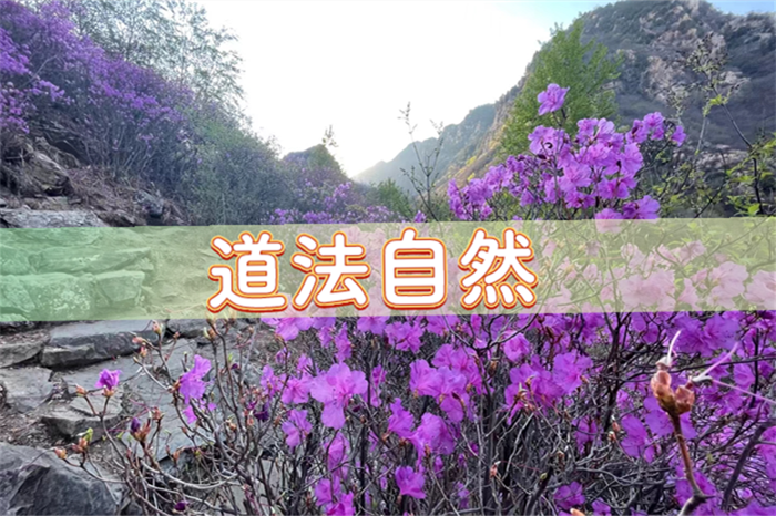 驻马店算命比较准的地方在哪里（驻马店哪里算卦看风水比较厉害）